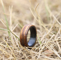 Zebra Wood Ring with Carbon Fiber Sleeve In A Field